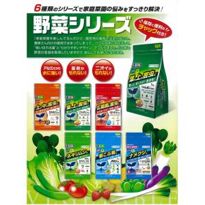 殺虫剤 スターガード 粉剤 800g エムシー...の詳細画像3