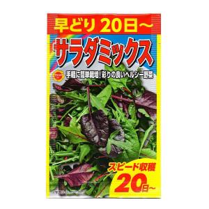 早どり サラダミックス アタリヤ農園 手軽に簡単栽培 彩りの良いヘルシー野菜 スピード収穫20日から 野菜種 野菜 種子 野菜の種