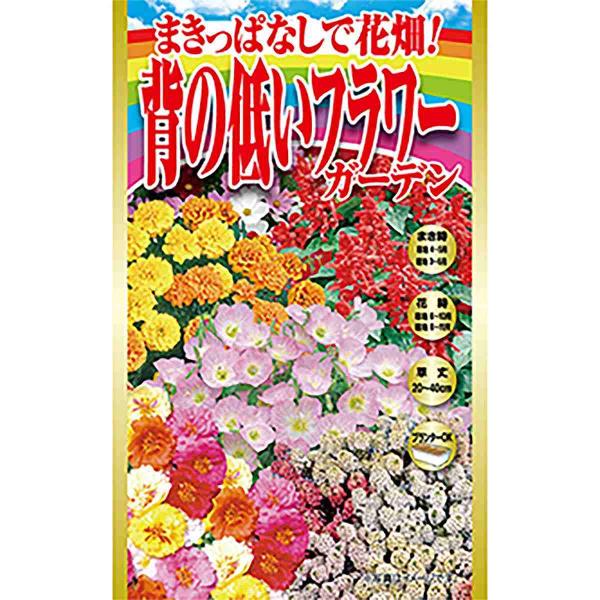 まきっぱなしで花畑 背の低いフラワー ガーデン アタリヤ農園 花種 M