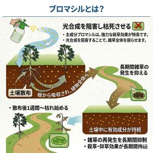 除草剤 アディオス ブロマシル80% 水和剤 ...の詳細画像1