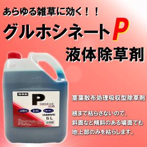 除草剤 グルホシネートP 5L シンセイ 除草...の詳細画像1