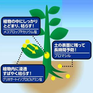除草剤 アース カマイラズ 草消滅 4.5L×...の詳細画像3