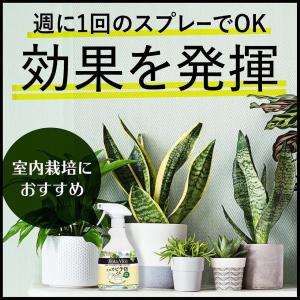 BotaNice 土のカビ予防スプレー 350...の詳細画像2