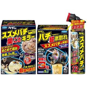 まとめ買い カダン スズメバチ対策おすすめ3点セット フマキラー 殺虫剤 送料無料