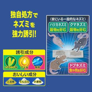 ドラデスパワー まとめて一掃 10g (5g×...の詳細画像2