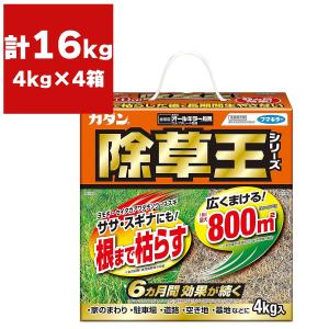 専用　プロマックス5 除草剤 10kg 除草剤 ブロマックス5 10kg ハート 顆粒 強力 業務用 ブロ
