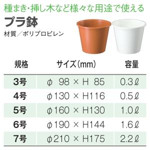 プラ鉢 4号 ホワイト 大和プラスチック φ1...の詳細画像1