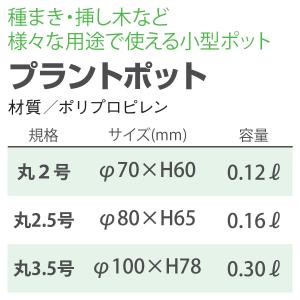 プラントポット 2.5号 ホワイト 大和プラス...の詳細画像1