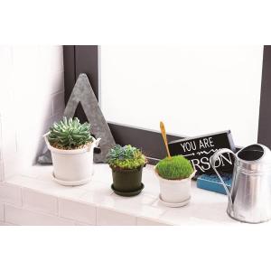 グロウプレート 12型 ブラック 大和プラスチ...の詳細画像1