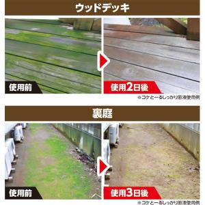 除草剤 コケとーるしっかり原液 200ml レ...の詳細画像3