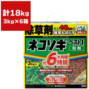 レインボー薬品 除草剤 ネコソギブロックV 粒剤 10kg ×2袋 除草剤