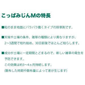 除草剤 こっぱみじんM 3kg×6箱 (こっぱ...の詳細画像3