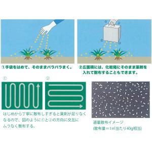除草剤 こっぱみじんM 3kg×6箱 (こっぱ...の詳細画像5
