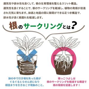 根っこつよし 5号 ブラック φ150×136...の詳細画像2