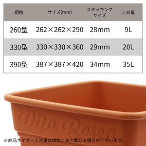 ロゼアスクエア 260型 ブラウン アップルウ...の詳細画像5