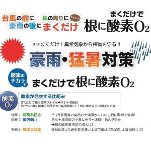 まくだけで根に酸素O2 200g 自然応用科学...の詳細画像1