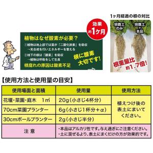 まくだけで根に酸素O2 200g 自然応用科学...の詳細画像2