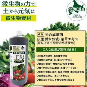 野菜の活力剤 土母 ベジタブル 4L 環境セラ...の詳細画像2