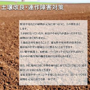 野菜の活力剤 土母 ベジタブル 4L 環境セラ...の詳細画像3