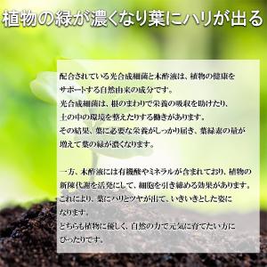 野菜の活力剤 土母 ベジタブル 4L 環境セラ...の詳細画像4