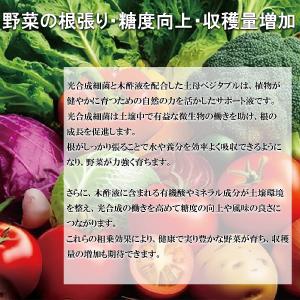 野菜の活力剤 土母 ベジタブル 4L 環境セラ...の詳細画像5