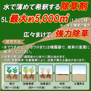 除草剤 強力除草剤 グリホ Value 500...の詳細画像2