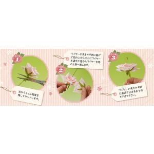 シリカゲル ドライフラワー用乾燥剤 1kg 豊...の詳細画像2