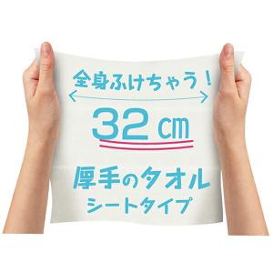 まとめ買い 48パック入 北のかおり ひんやり...の詳細画像1