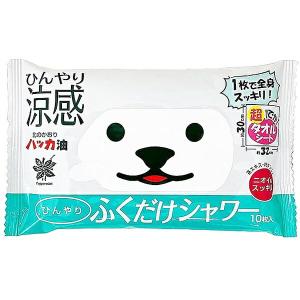 北のかおり ひんやりふくだけシャワー 10枚入 ...の商品画像
