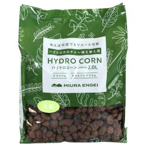 ハイドロコーン 大粒 2.0L 三浦園芸 HYDRO CORN テラリウム グラスアクアリウム｜e-hanas