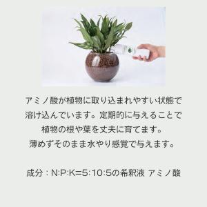 ハイドロカルチャー用栄養剤 300ml 三浦園...の詳細画像1