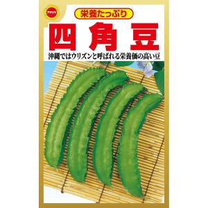 四角豆 アタリヤ農園 栄養豊富な夏野菜 沖縄ではウリズンと呼ばれる 栄養価の高い豆 野菜種 Mの商品画像