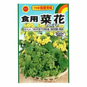 一代交配 強健美味 食用 菜花 アタリヤ農園 おいしい つまみ菜花で生育旺盛 家庭菜園に最適 野菜種 M