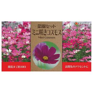 アタリヤ農園 花種 栽培セット ミニ咲コスモス 最安値 価格比較 Yahoo ショッピング 口コミ 評判からも探せる