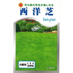 西洋芝 ローングラス 1L 5坪用 アタリヤ農園 lawn grass 冬も緑の芝生が楽しめる 芝種 M｜e-hanas