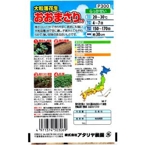 大粒落花生 おおまさりネオ アタリヤ農園 野菜...の詳細画像1