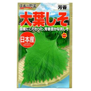 大葉しそ アタリヤ農園 日本産 日本の野菜 芳香 国産にこだわった