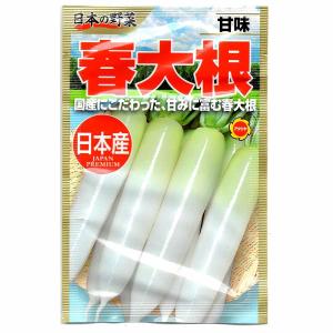 大容量 営利種 白翆(はくすい) ねぎ ペレット6000粒 カネコ種苗 野菜