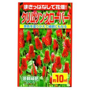 まきっぱなしで花畑 クリムソンクローバー アタリヤ農園