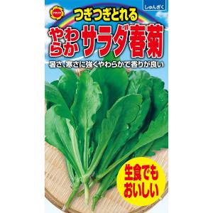 つぎつぎとれる やわらかサラダ春菊 アタリヤ農園 生食でもおいしい 野菜種 M｜e-hanas