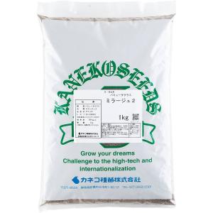 ノシバ種子 品種名：コンパドレ 500g スカイシード株式会社 野芝 種