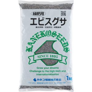 エビスグサ 1kg カネコ種苗 センチュウ抑制 緑肥種 送料無料 代金引換不可｜e-hanas