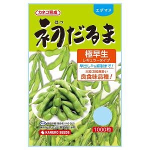 枝豆 神風香 1L 雪印種苗（株） : グリーンロフトネモト - 通販