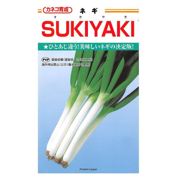 大容量 営利種 SUKIYAKI(すきやき) ネギ 5000粒 カネコ育成 カネコ種苗 野菜種子 ネ...