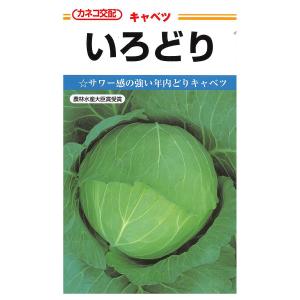 コート種子 キャベツ TCA-422 タキイ交配 キャベツの種 TCA−422 ペレット5千粒 ( 野菜の種 ) : 菜園
