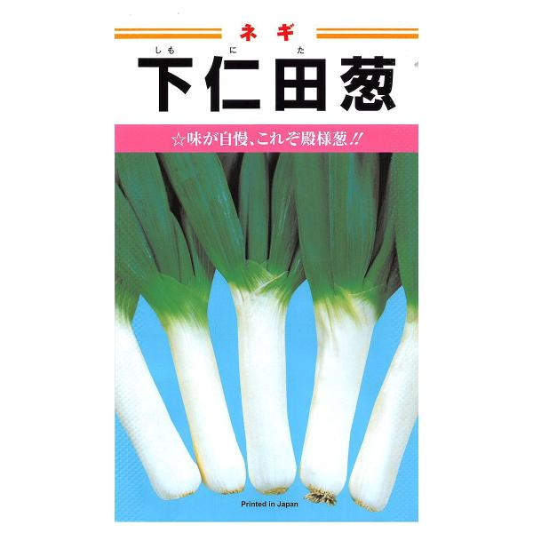 大容量 営利種 下仁田 ネギ 5000粒 カネコ種苗 野菜種子 野菜 種 野菜 種子 野菜の種 野菜...