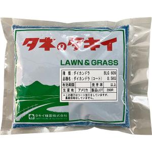 ノシバ種子 品種名：コンパドレ 500g スカイシード株式会社 野芝 種