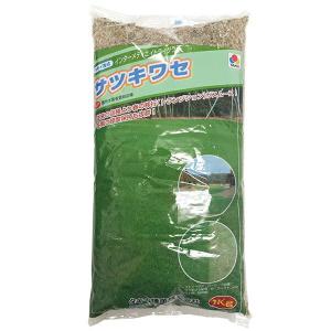 インターメディエイトライグラス サツキワセ 1kg タキイ種苗