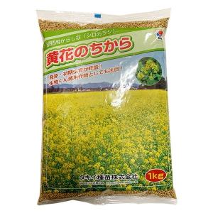 れんげ種子 10kg 緑肥用 レンゲ種子 10kg 送料無料 緑肥の種 : タネの問屋さん養本社 - 通販