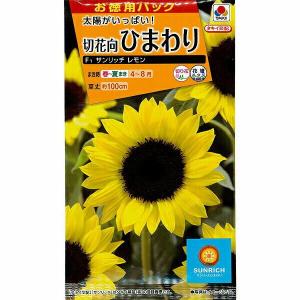 切り花用ひまわりの種の商品一覧 通販 Yahoo ショッピング